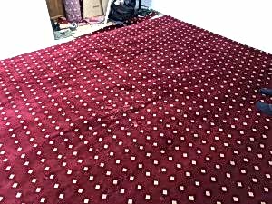 Klasik Cami Halısı Polip 2800gr