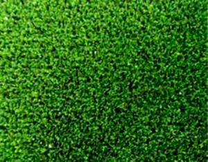 Samur Çim Halı | 7mm doğa çim halı