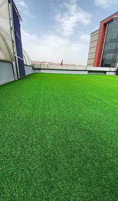 20mm Otlu Çim Halı düz yeşil çim halı dolgusuz çim halı kalın çim halı
